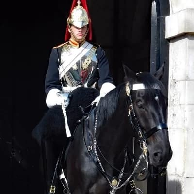 Real Guard thumbnail