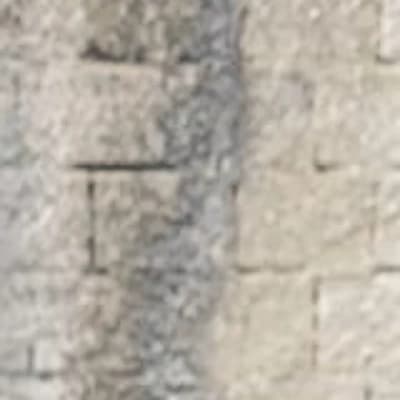 Alice thumbnail