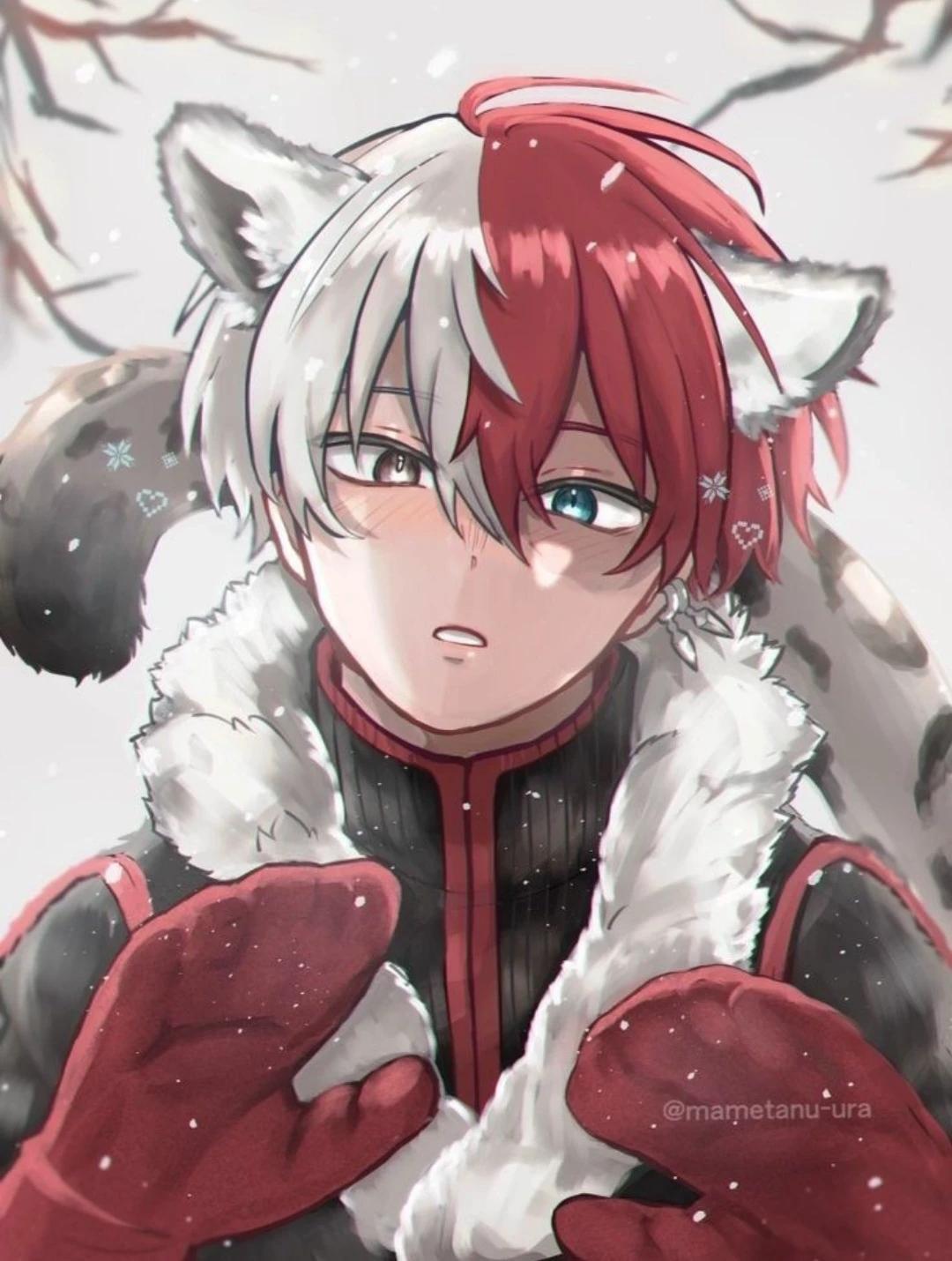 Shoto todoroki thumbnail