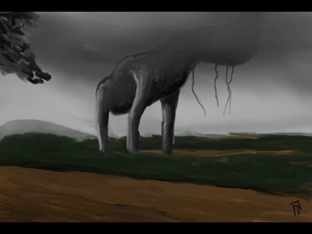 - The Wandering Faith - thumbnail