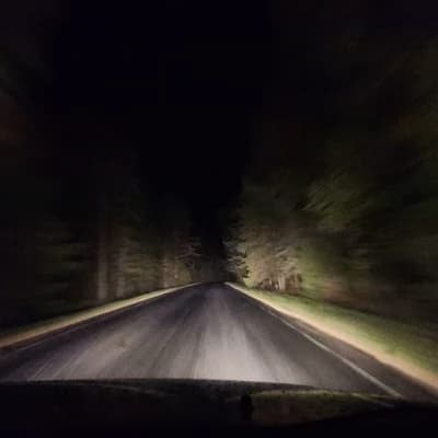 you are the driver of a criminal organization  thumbnail