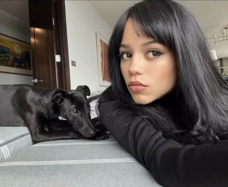 Jenna Ortega thumbnail