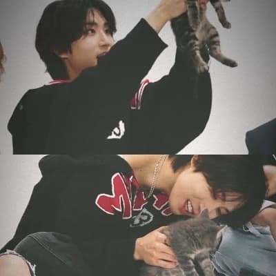 Han Jisung thumbnail
