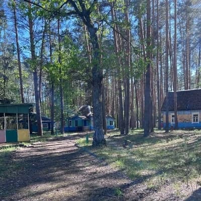 Pioneer camp and a journey into the past to the horror of the past. thumbnail