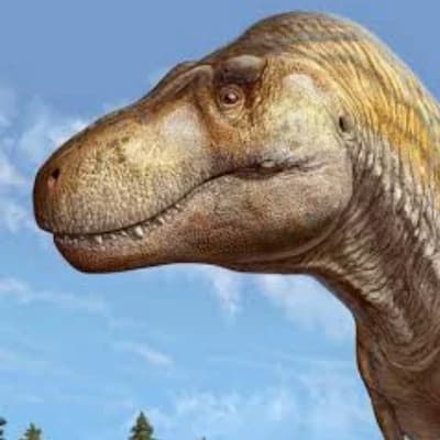 World of Dinosaurs thumbnail