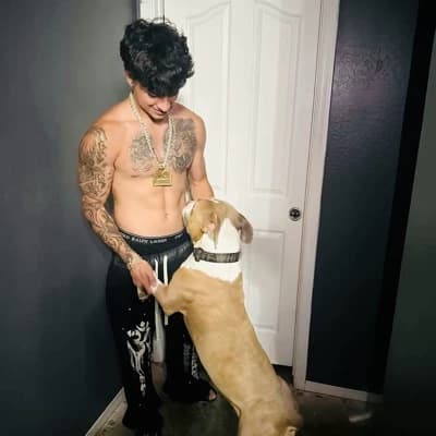 Alex Chino thumbnail