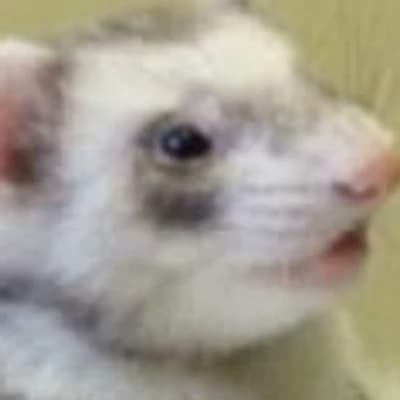 Torvin thumbnail