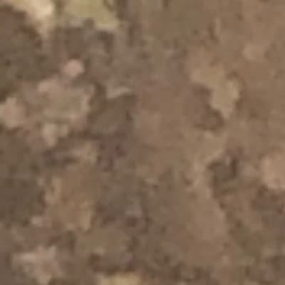 Misha Grimm thumbnail