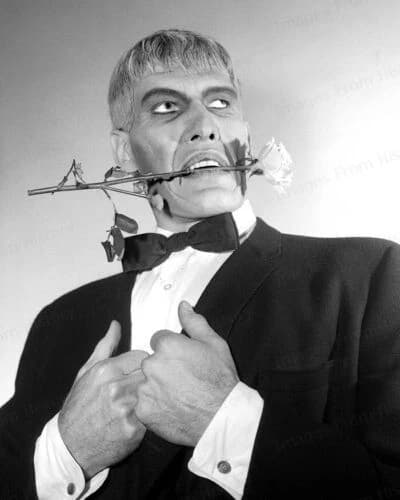 ~* Addams Family *~ thumbnail