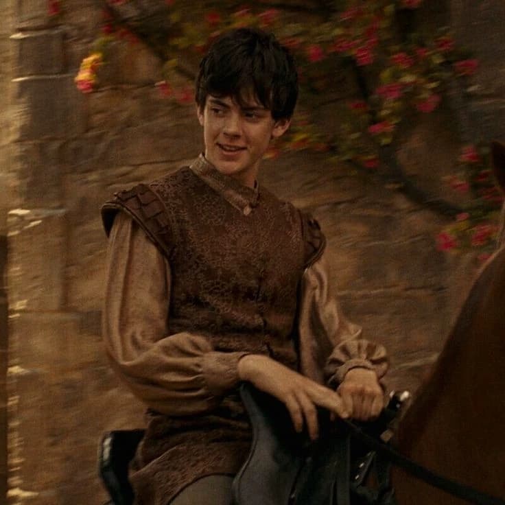 edmundo Pevensie thumbnail