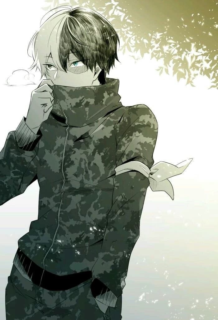 Shoto todoroki thumbnail