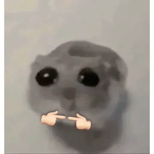 Hamster thumbnail