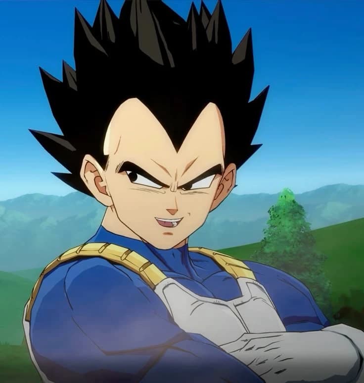 Vegeta thumbnail