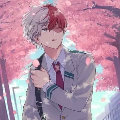 Shoto Todoroki thumbnail