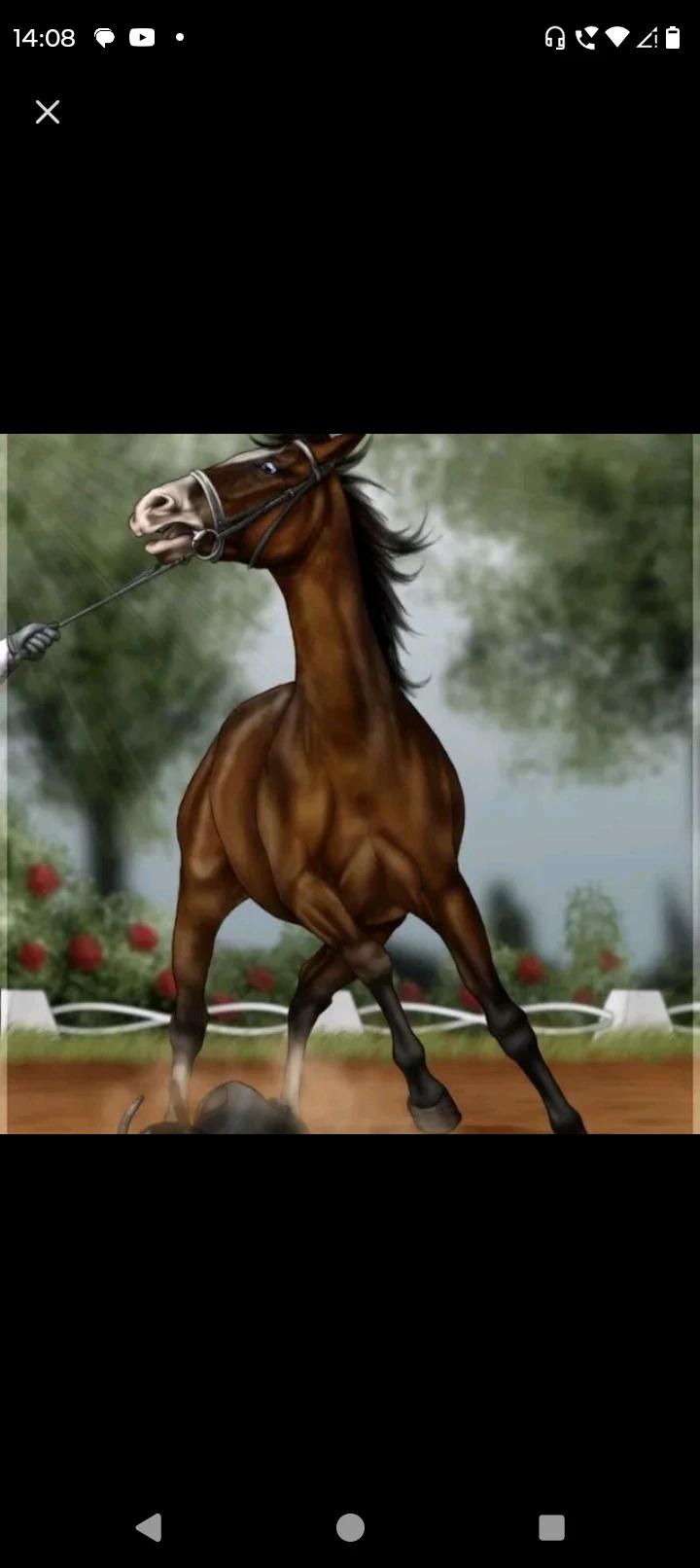Equestrian Haras thumbnail