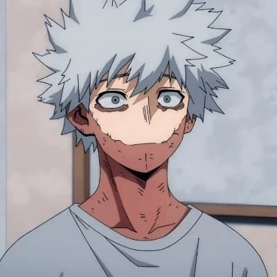 Touya Todoroki thumbnail