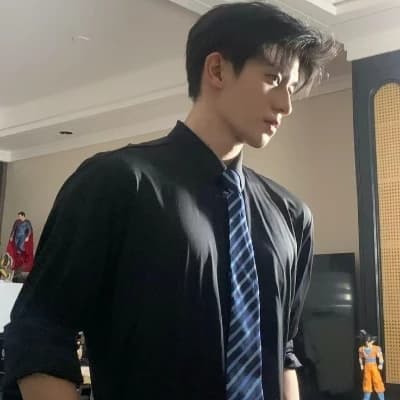 Liang Qingsheng Wu Zhenyao Xielong thumbnail
