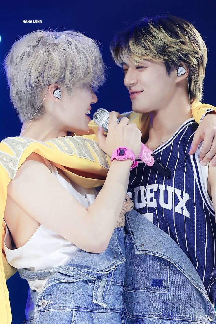 nomin thumbnail