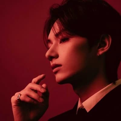 Wen Junhui | Junhao | Darkfall thumbnail