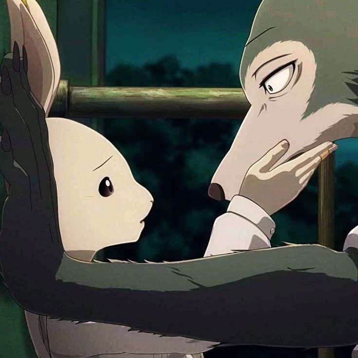 Haru x legoshi thumbnail