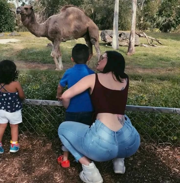 A new family? thumbnail
