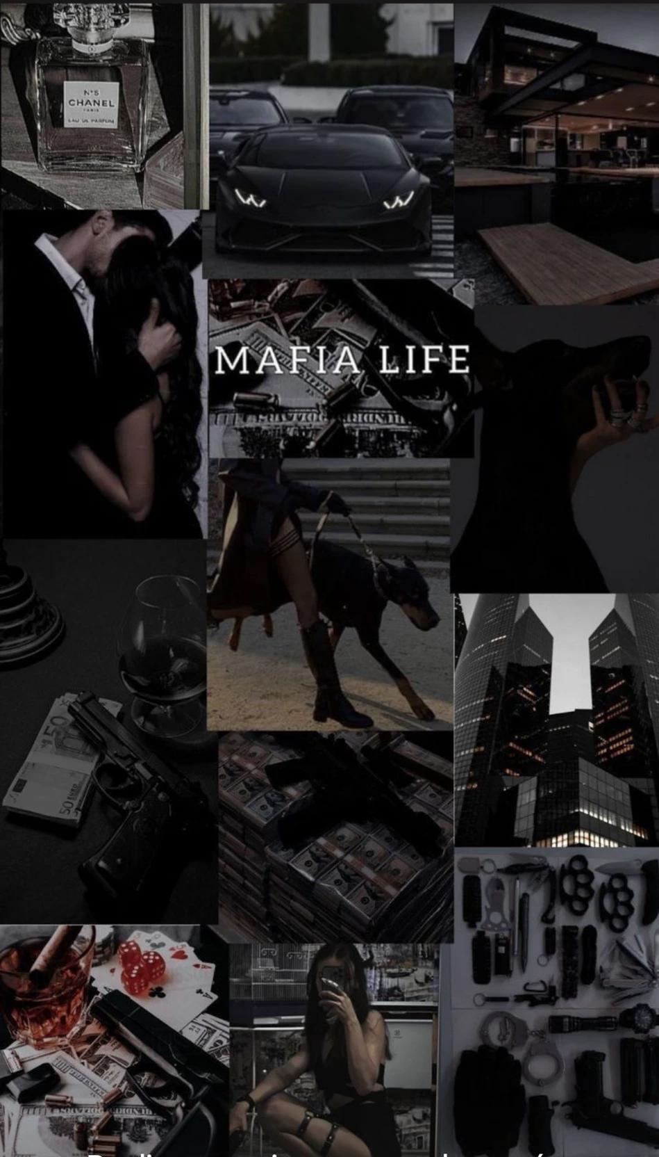 MAFIOSA AND GOVERNOR thumbnail