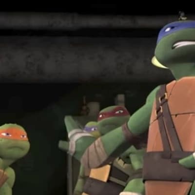 The Teenage Mutant Ninja Turtles thumbnail