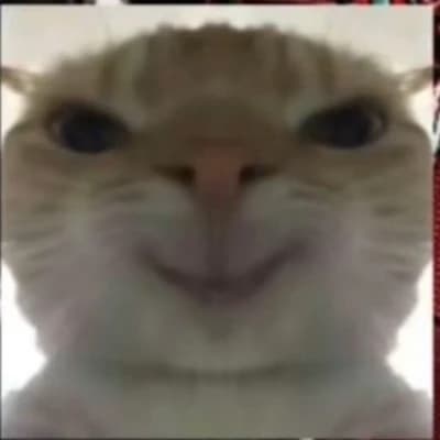 Ratcat thumbnail