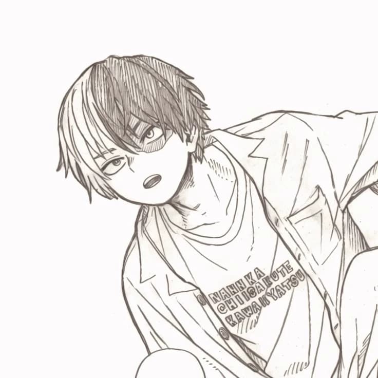 Shoto Todoroki thumbnail