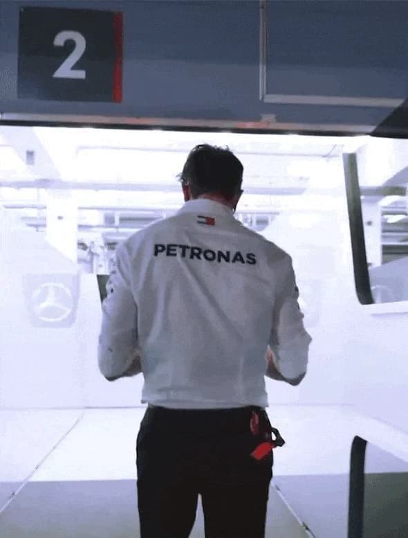 Toto Wolff thumbnail