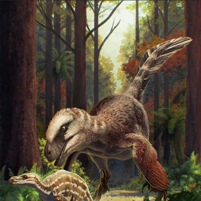Utahraptor thumbnail