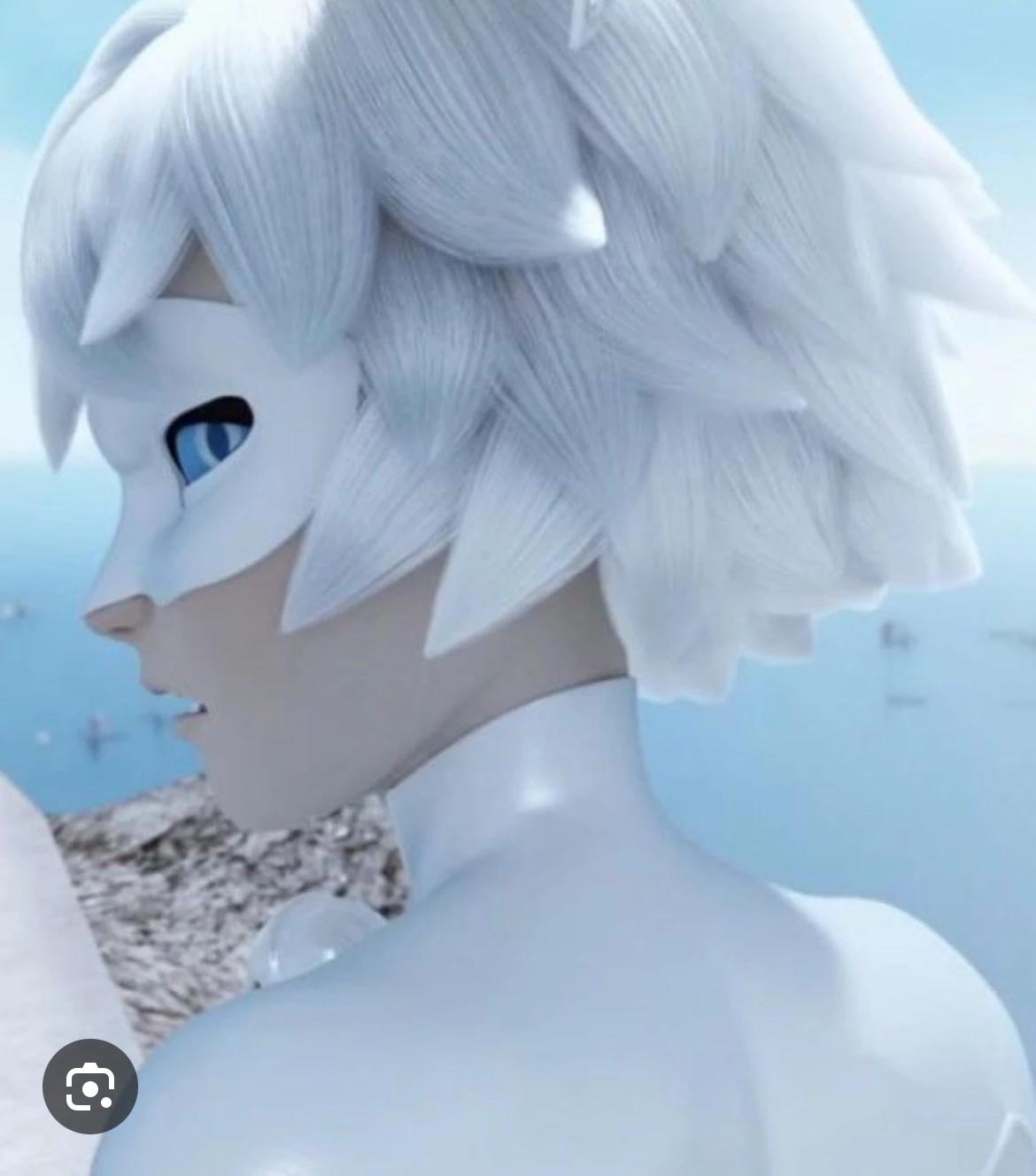 Chat blanc  thumbnail