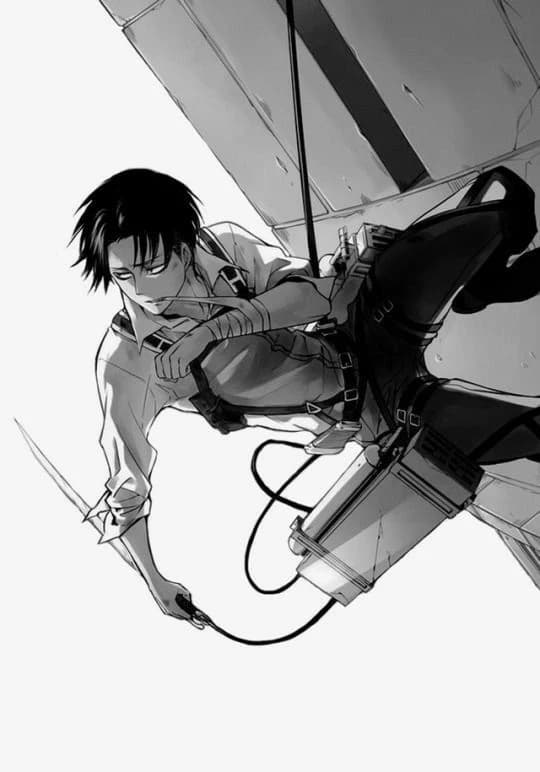 Levi Akkerman thumbnail