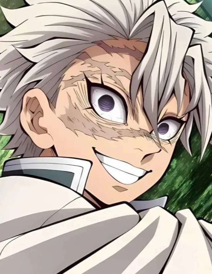 Shinazugawa Sanemi thumbnail