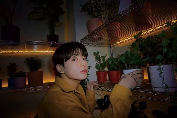 Jungkook thumbnail