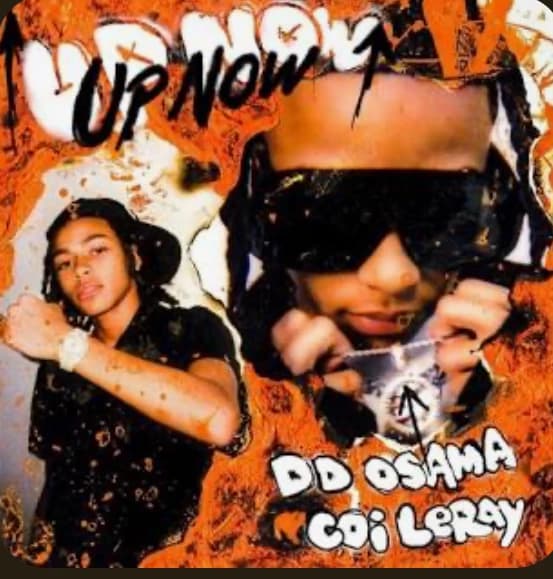DD Osama thumbnail