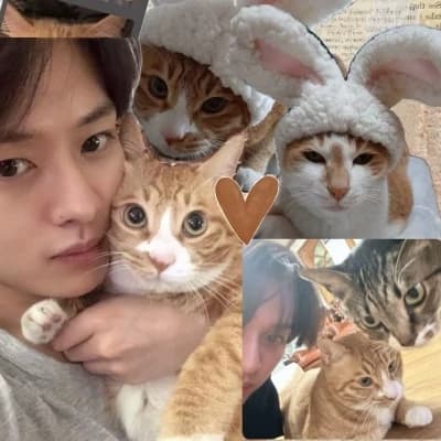 Lee Minho thumbnail