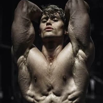 the david laid thumbnail