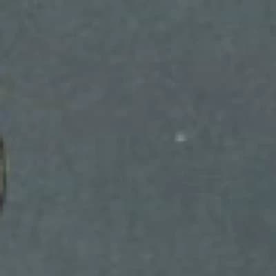 Tilly Magne thumbnail