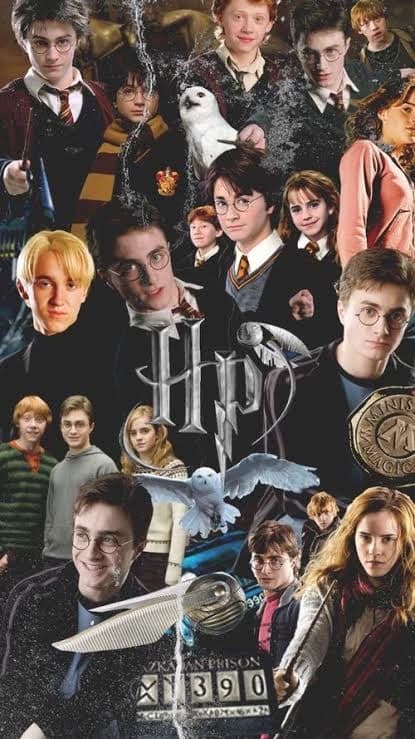 Harry Potter Style Harem thumbnail