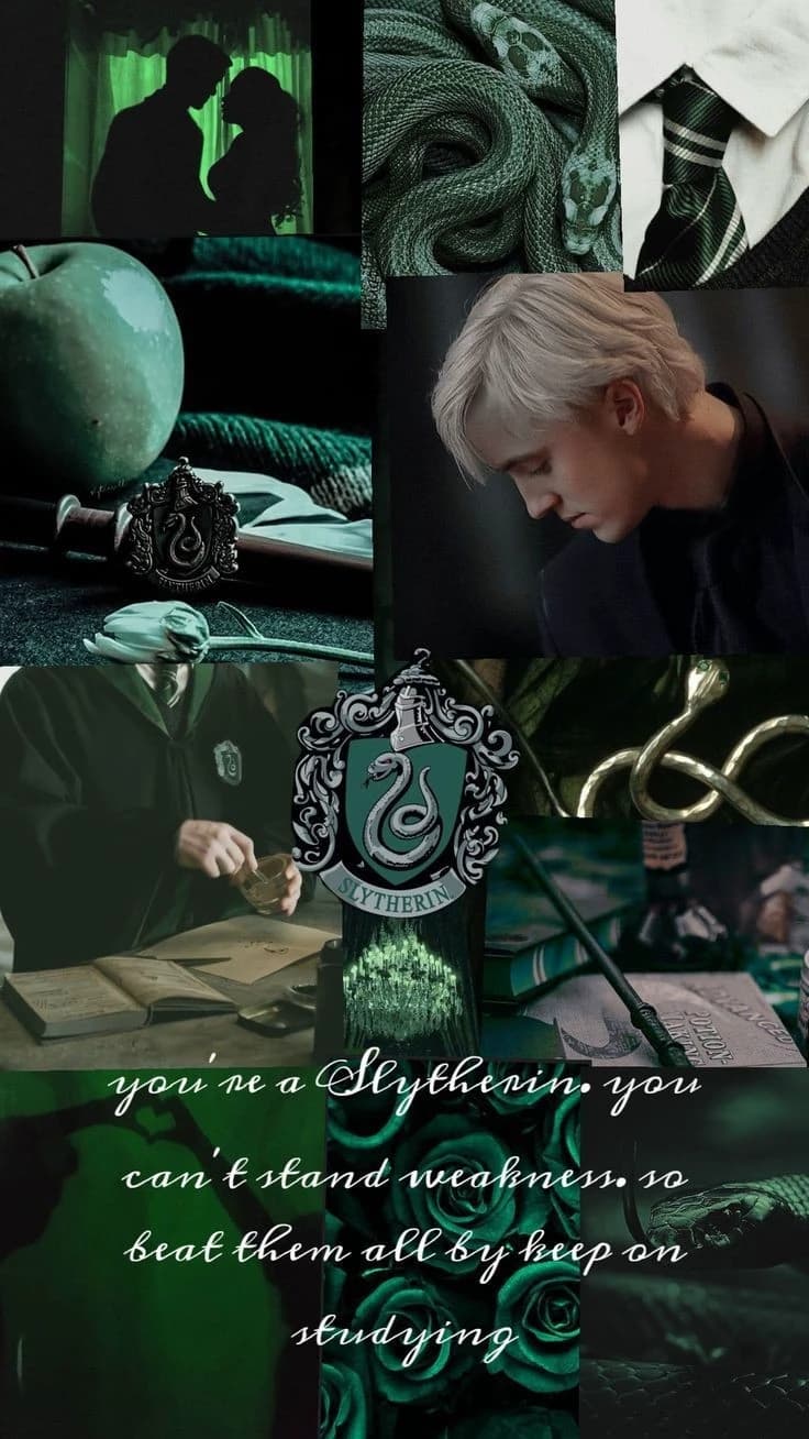 Draco Malfoy and Lorenzo and Tom Riddle and Theodor Knot thumbnail