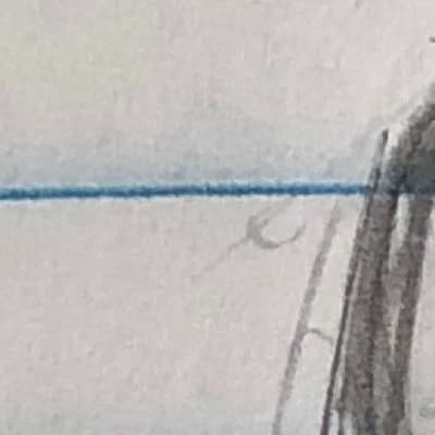 Signora Mallus thumbnail