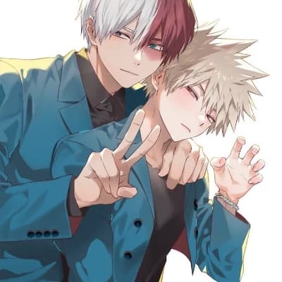 Shoto Todoroki thumbnail