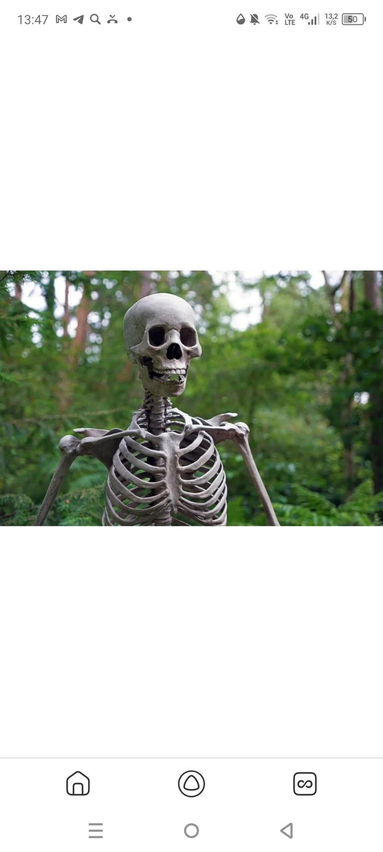 skeleton thumbnail