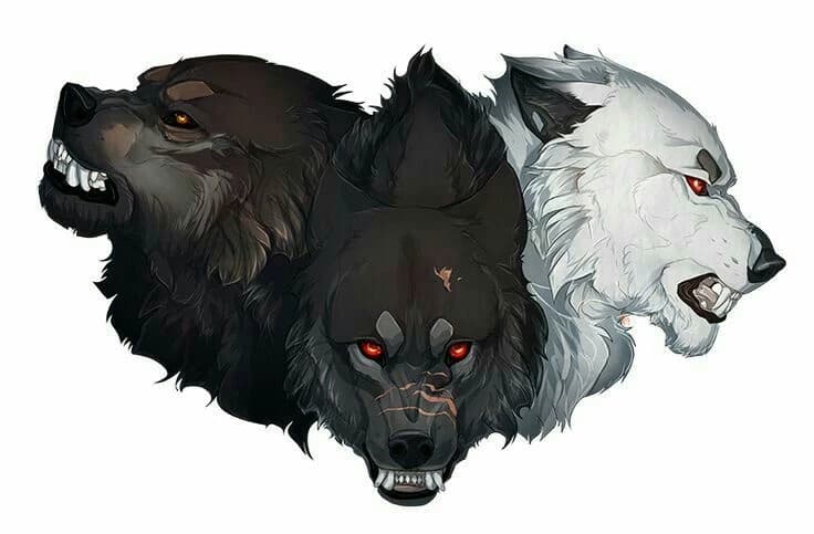 Zack-Jack-Yun 🌕The Three Lobos Men Lobos🌕 thumbnail