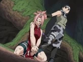 Sakura in the Chunin Enames thumbnail