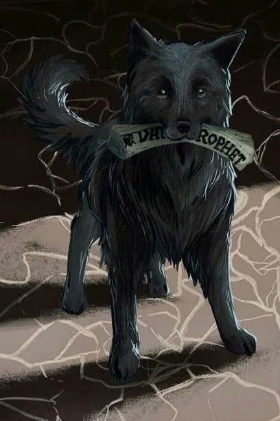 Sirius Black thumbnail