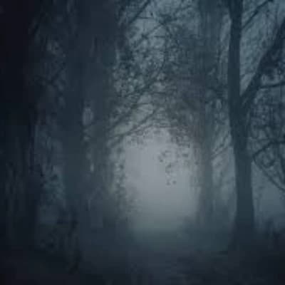 Forest of Terror thumbnail