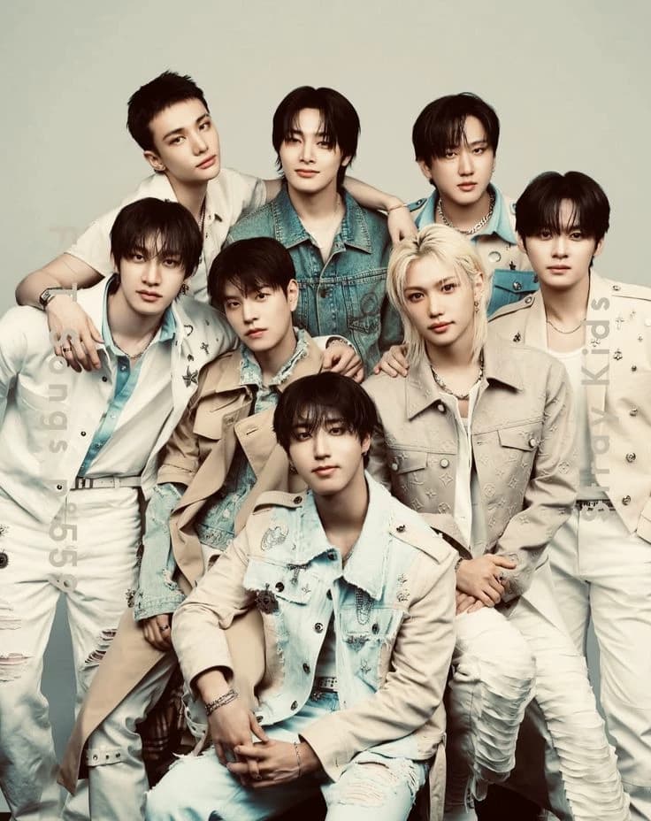 STRAY KIDS (SKZ) thumbnail