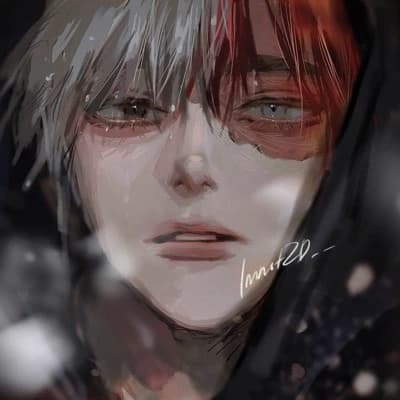Shoto Todoroki thumbnail